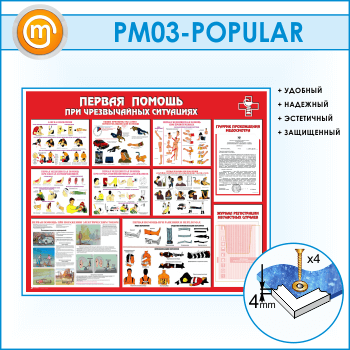 ����� ������� ������ ��� ������������ ���������� � ������� � �������� ��������� (PM-03)