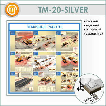 ����� ��������� ������� (TM-20-SILVER)