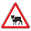 �������� ���� 1.26 �������� ����� (������ 0,8 ��, I ����������: ������� 700 ��, �/� ������: ��� � ��������������.)